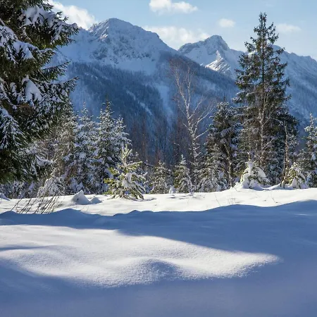 Mod In Germany Near Ski Area